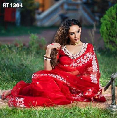 D.NO. BT1204 BY BT ORGANZA SAREES MANUFACTURER IN INDIA